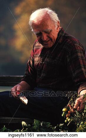 Old Man Gardening View Large Photo Image Stock Image - Old Man Gardening. Fotosearch