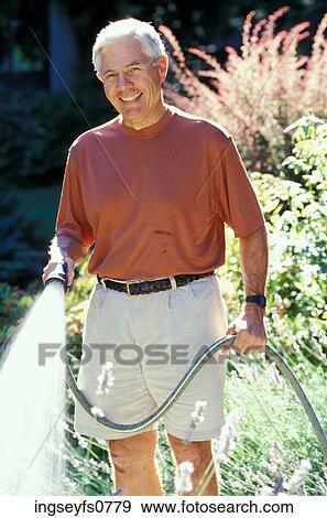 Older Man Watering Lawn View Large Photo Image Stock Photo - Older Man Watering Lawn. Fotosearch