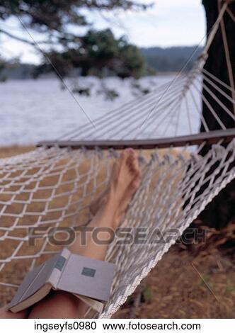 Relaxing in a Hammock View Large Photo Image Stock Image - Relaxing in a Hammock. Fotosearch