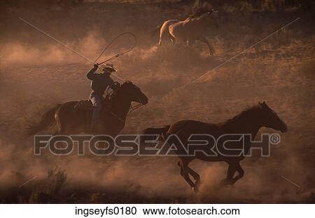 Roundup View Large Photo Image Stock Image - Roundup. Fotosearch
