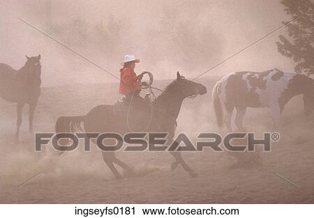 Roundup View Large Photo Image Stock Image - Roundup. Fotosearch