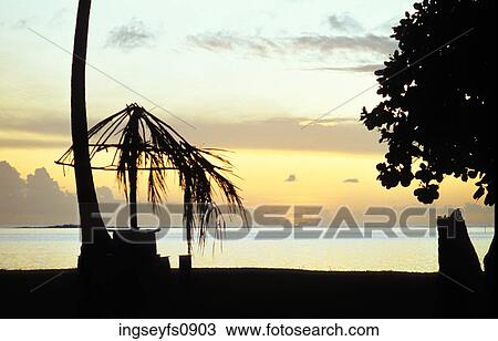 Rustic Beach Umbrella View Large Photo Image Stock Image - Rustic Beach Umbrella. Fotosearch