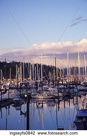 Sailboats Docked in a Bay View Large Photo Image Stock Image - Sailboats Docked in a Bay. Fotosearch
