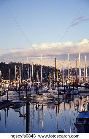 Sailboats Docked in a Bay View Large Photo Image Stock Image - Sailboats Docked in a Bay. Fotosearch