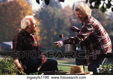 Senior Couple Gardening Together View Large Photo Image Stock Image - Senior Couple Gardening Together. Fotosearch