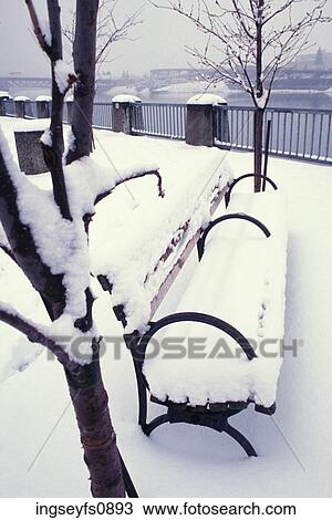 Snow Covered Bench View Large Photo Image Stock Image - Snow Covered Bench. Fotosearch