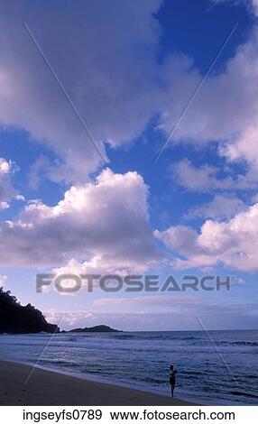 Standing on a Beach View Large Photo Image Stock Photo - Standing on a Beach. Fotosearch