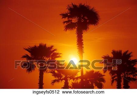 Sunset in the Caribbean View Large Photo Image Stock Image - Sunset in the Caribbean. Fotosearch
