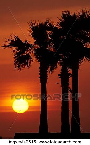 Sunset over the Ocean View Large Photo Image Stock Photography - Sunset over the Ocean. Fotosearch