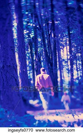 Walking in the Park View Large Photo Image Stock Image - Walking in the Park. Fotosearch
