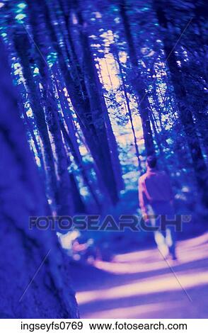 Walking in the Park View Large Photo Image Stock Photo - Walking in the Park. Fotosearch
