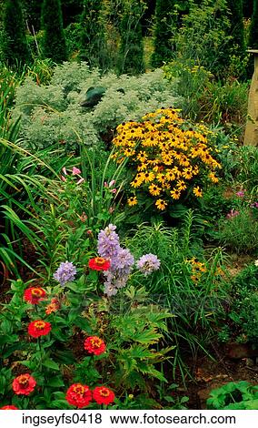Wildflowers View Large Photo Image Stock Photo - Wildflowers. Fotosearch