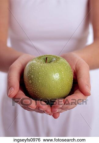 Woman Holding an Apple View Large Photo Image Stock Photograph - Woman Holding an Apple. Fotosearch