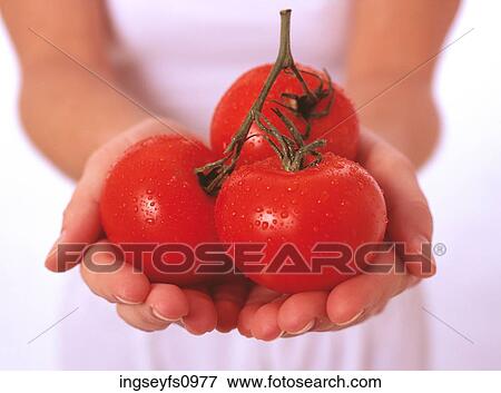 Stock Photo - Woman Holding Tomatoes. Fotosearch