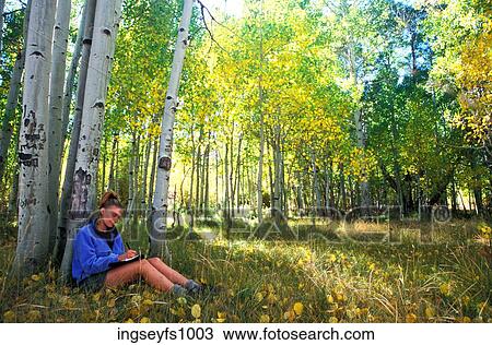 Woman Reading in Aspen Grove View Large Photo Image Stock Image - Woman Reading in Aspen Grove. Fotosearch