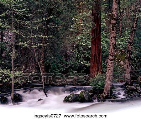 Yosemite National Park California View Large Photo Image Stock Photo - Yosemite National Park California. Fotosearch