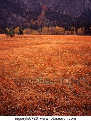 Yosemite National Park California View Large Photo Image Stock Photograph - Yosemite National Park California. Fotosearch