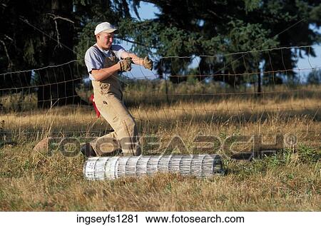 Young Man Laying Fence View Large Photo Image Stock Image - Young Man Laying Fence. Fotosearch