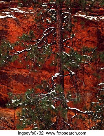 Zion National Park Utah View Large Photo Image Stock Image - Zion National Park Utah. Fotosearch