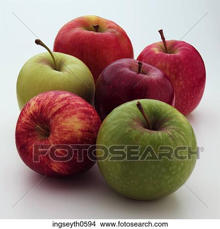 apple tree, red apple, apples, healthy, fruit, food, Apple View Large Photo Image Picture - apple tree, red apple, apples, healthy, fruit, food, Apple. Fotosearch