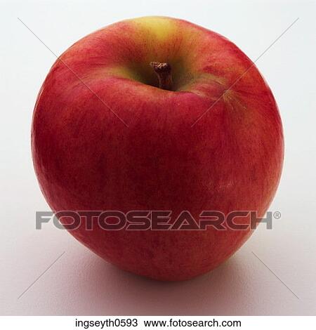 apple tree, red apple, apples, healthy, fruit, food, Apple View Large Photo Image Stock Image - apple tree, red apple, apples, healthy, fruit, food, Apple. Fotosearch