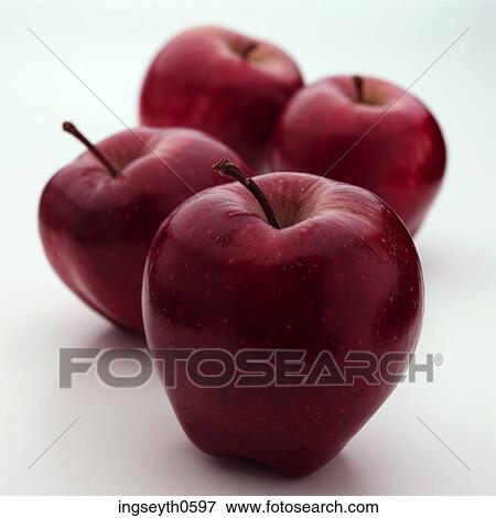 apple tree, red apple, apples, healthy, fruit, food, Apple View Large Photo Image Stock Photo - apple tree, red apple, apples, healthy, fruit, food, Apple. Fotosearch