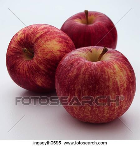 apple tree, red apple, apples, healthy, fruit, food, Apple View Large Photo Image Stock Photography - apple tree, red apple, apples, healthy, fruit, food, Apple. Fotosearch