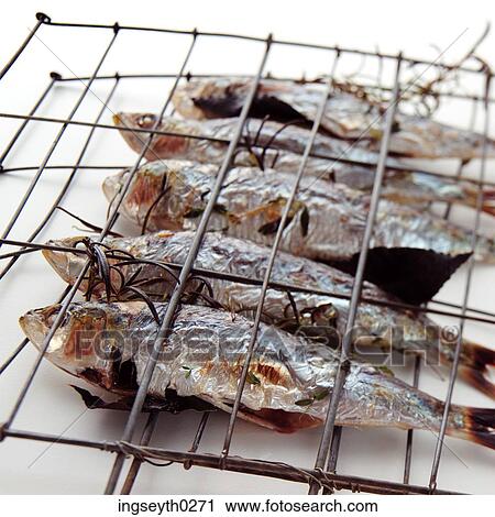barbecue, fish, mackrel, herring, food, diet, nutritian View Large Photo Image Stock Image - barbecue, fish, mackrel, herring, food, diet, nutritian. Fotosearch