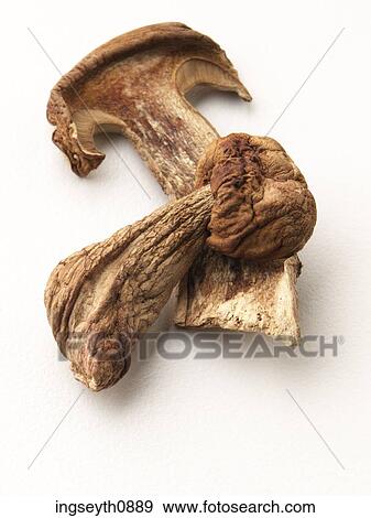 Stock Photo - Bottle and a glass of red wine. Fotosearch