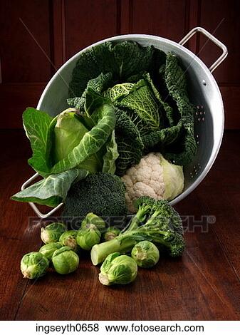 Brassica bowl, vegetable basket, sprouts, cauliflour, broccoli, Bowl, Brassica View Large Photo Image Stock Photo - Brassica bowl, vegetable basket, sprouts, cauliflour, broccoli, Bowl, Brassica. Fotosearch