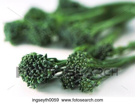 brocoli, brocoli floret, raw, raw brocoli, vegetable, greens, veg View Large Photo Image Stock Photo - brocoli, brocoli floret, raw, raw brocoli, vegetable, greens, veg. Fotosearch