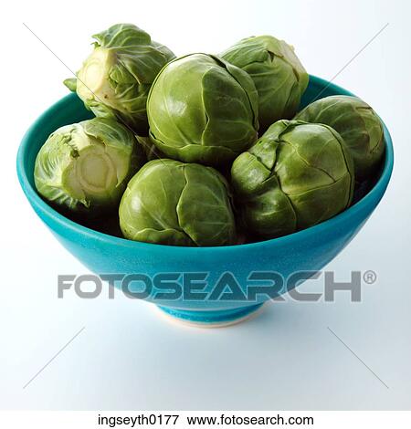 brussel sprouts, bowl of brussel sprouts, raw brussel sprouts, cooked brussel sprouts, green vegetable View Large Photo Image Stock Photo - brussel sprouts, bowl of brussel sprouts, raw brussel sprouts, cooked brussel sprouts, green vegetable. Fotosearch