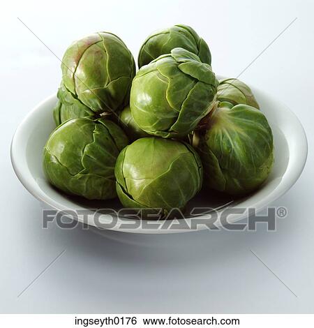 brussel sprouts, bowl of brussel sprouts, raw brussel sprouts, cooked brussel sprouts, green vegetable View Large Photo Image Stock Photograph - brussel sprouts, bowl of brussel sprouts, raw brussel sprouts, cooked brussel sprouts, green vegetable. Fotosearch