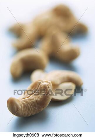 Cashews, Cashew nut, nut, nuts, cashew, food, diet View Large Photo Image Stock Photo - Cashews, Cashew nut, nut, nuts, cashew, food, diet. Fotosearch