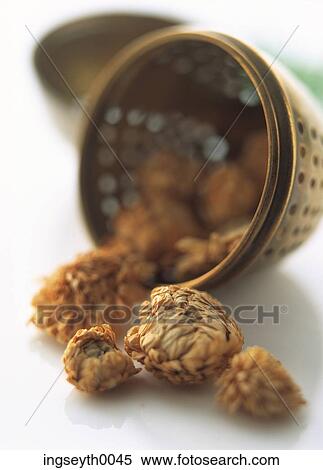 chamomile, chamomile tea, herbal, lavender, basket, drink, liquid View Large Photo Image Stock Photography - chamomile, chamomile tea, herbal, lavender, basket, drink, liquid. Fotosearch