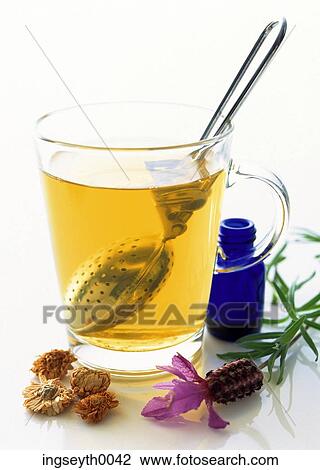 Stock Image - chamomile, chamomile tea, herbal, tea, clear, drink, liquid. Fotosearch
