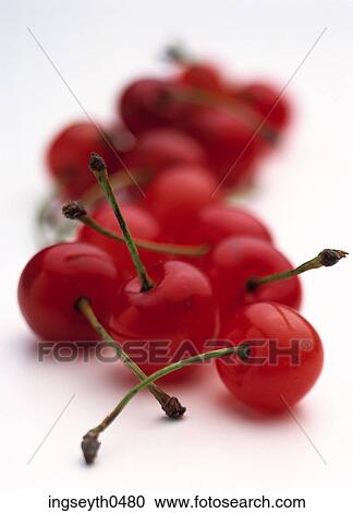 Cherries, cherry, red cherry, red, fruit, healthy, food View Large Photo Image Stock Image - Cherries, cherry, red cherry, red, fruit, healthy, food. Fotosearch