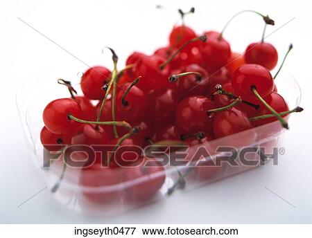 Cherry punnet, punnet, Cherry, cherries, red, punnet of cherries, food View Large Photo Image Stock Photo - Cherry punnet, punnet, Cherry, cherries, red, punnet of cherries, food. Fotosearch