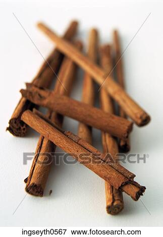 Cinnamon Sticks, spice, flavour, exotic food, Cinnamon, Sticks, food View Large Photo Image Stock Photo - Cinnamon Sticks, spice, flavour, exotic food, Cinnamon, Sticks, food. Fotosearch