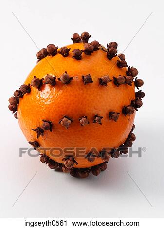 Cloved Orange, Cloved, Orange, cloves, fruit, spice, spices View Large Photo Image Stock Image - Cloved Orange, Cloved, Orange, cloves, fruit, spice, spices. Fotosearch