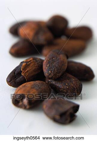 Picture - Cocoa Beans, Beans, Cocoa, chocolat, brown, sweet, food. Fotosearch