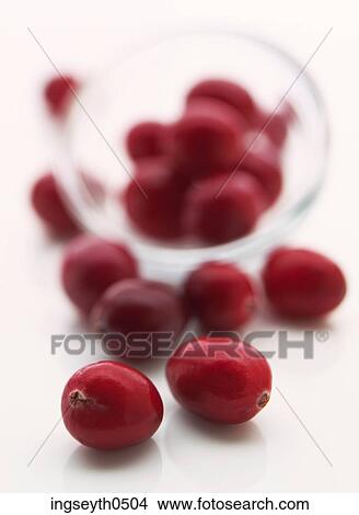 Cranberry, Cranberries, fruit, turkey, sauce, cranberry sauce, food View Large Photo Image Picture - Cranberry, Cranberries, fruit, turkey, sauce, cranberry sauce, food. Fotosearch