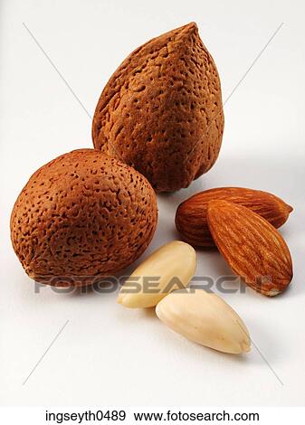 Stock Photo - diet, Almonds, food, nutty, nuts, nutritian, Almond. Fotosearch