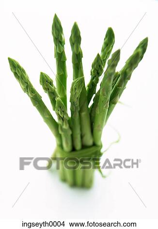 Picture - diet, spears, food, vegetable, greens, nutritian, asparagus. Fotosearch