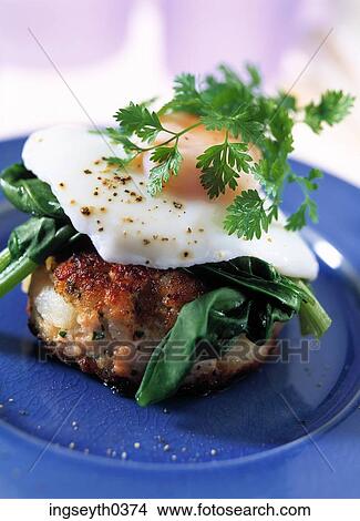 egg on potato cake, cake, egg, potato, food, diet, nutritian View Large Photo Image Picture - egg on potato cake, cake, egg, potato, food, diet, nutritian. Fotosearch
