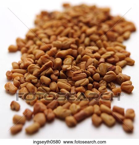 Stock Image - Fenugreek, pulse, pulses, beans, Fenugreeks, food, diet. Fotosearch
