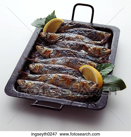 fish, mackrel, herring, grill pan, barbecue, cooked fish, lemon slice View Large Photo Image Stock Photo - fish, mackrel, herring, grill pan, barbecue, cooked fish, lemon slice. Fotosearch
