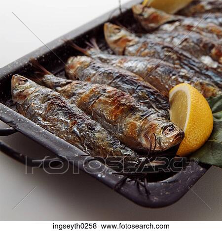 fish, mackrel, herring, grill pan, barbecue, cooked fish, lemon slice View Large Photo Image Stock Photo - fish, mackrel, herring, grill pan, barbecue, cooked fish, lemon slice. Fotosearch