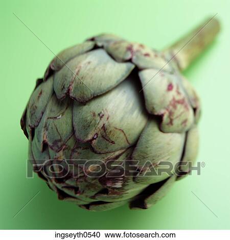 Stock Image - food, green, exotic vegetable, vegetable, artichoke, diet, Artichokes. Fotosearch