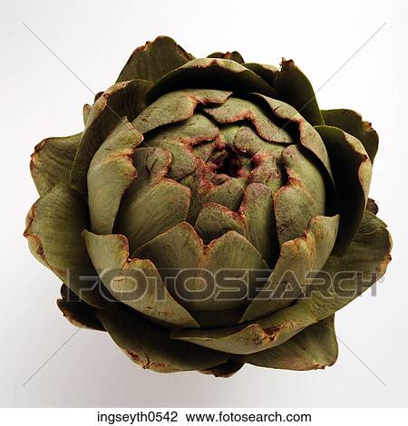 Stock Image - food, green, exotic vegetable, vegetable, artichoke, diet, Artichokes. Fotosearch